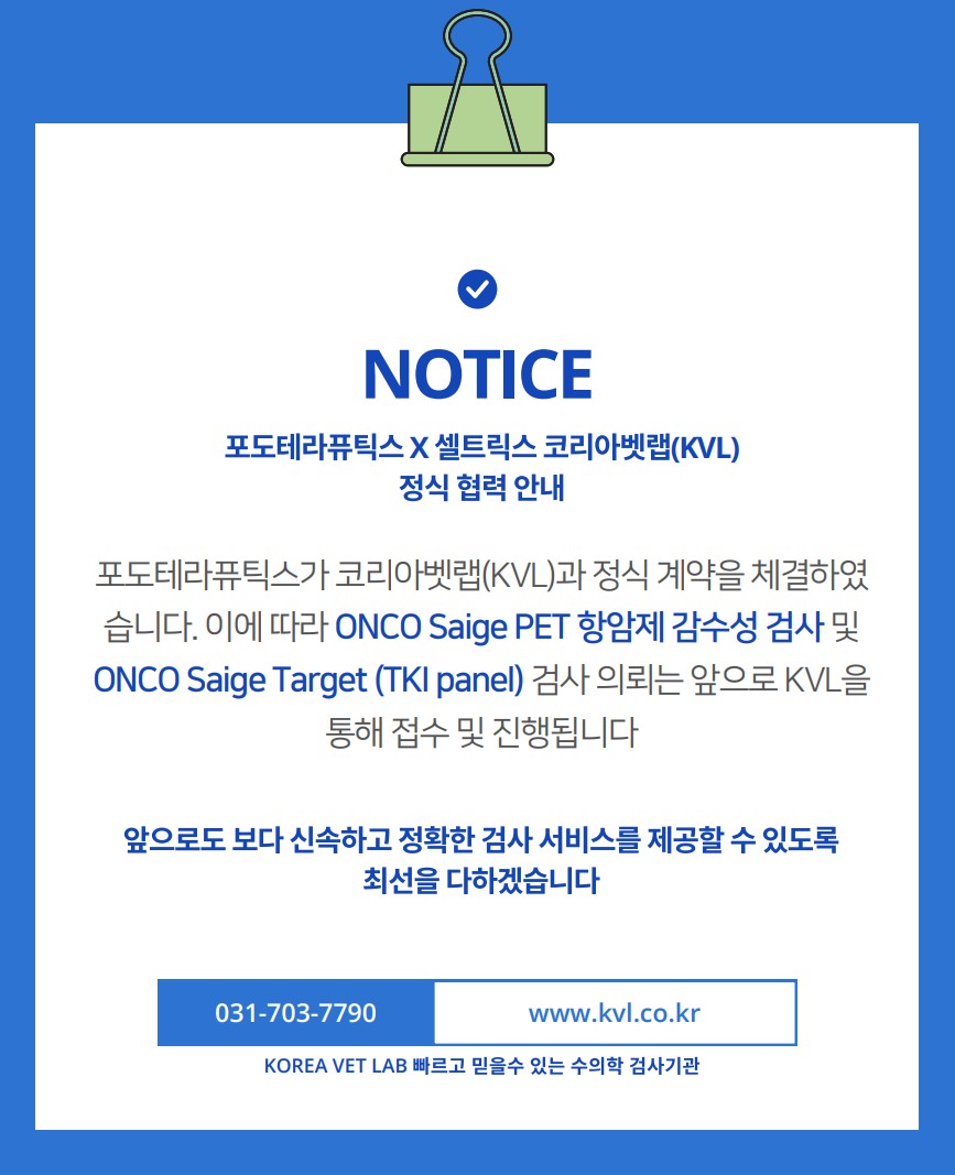 화면 캡처 2026-07-02 183354.jpg
