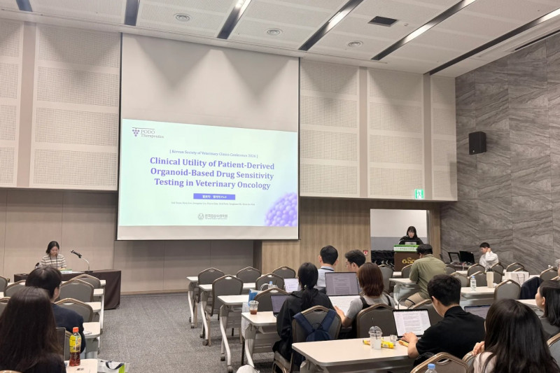 [포도테라퓨틱스] 한국임상수의학회 춘계학술대회 구두발표 선정 - 오가노이드 기반 정밀의료 연구 성과 발표